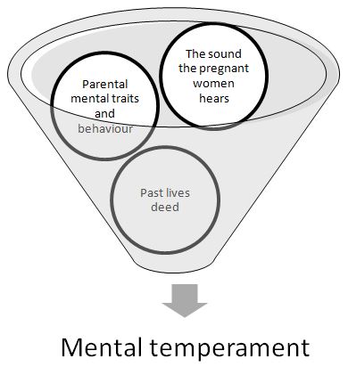 File:Factors influencing physcological temperament.JPG