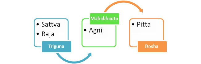 Figure 01: Relation between triguna, mahabhauta and pitta dosha.