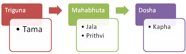 Figure 01: Relation between Triguna, Mahabhuta and Kapha Dosha.