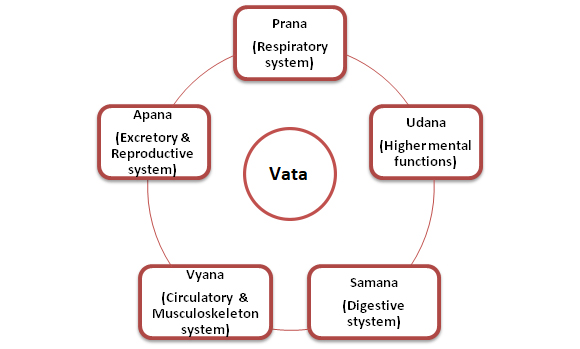 File:Vata- types.jpg