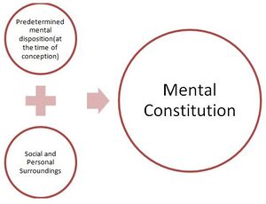Mental constitution formation.JPG
