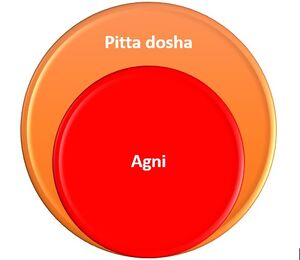 Pitta dosha and Agni.jpg