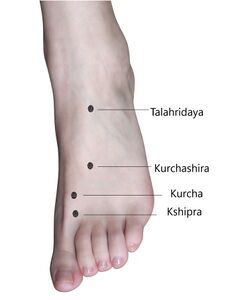 Fig.1(a): Marma of lower extremities]]