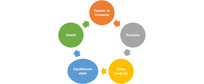 Image 1: Circle of life in reference to prakriti