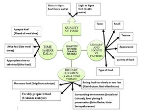 Fig 1 Extrinsic factors.jpg