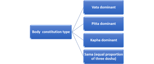 Image 1: Types of Deha Prakriti