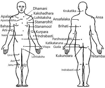 Fig.4(a): Marma-anterior aspect of body Fig.4(b): Marma-posterior aspect of body]]