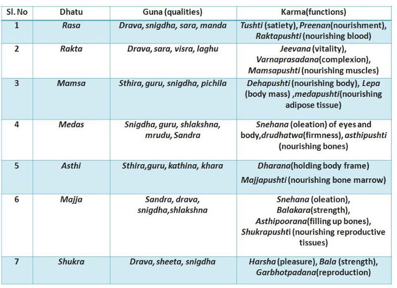 File:New pic 1 dhatu-guna karma.JPG