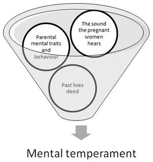 Factors influencing physcological temperament.JPG