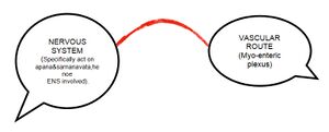 Nervous systems.jpg