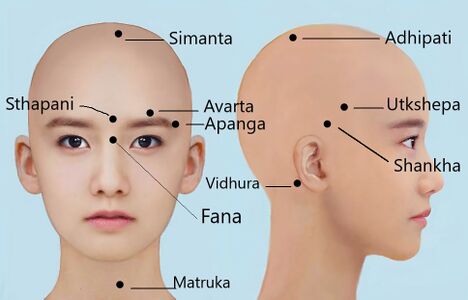Fig.3: Marma of head & neck region]]