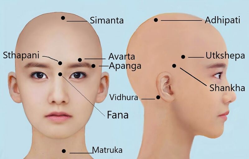 File:Vital points img 5.jpg