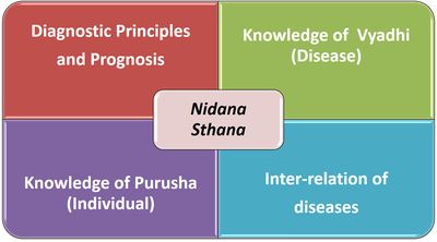 Image 1:Aspects of Nidana Section