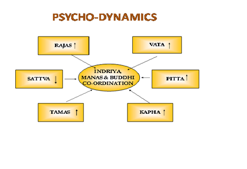 Fig.3: Psycho-dynamics in Apasmara