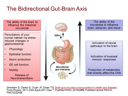 Bidirectionalgut-brainaxis.png