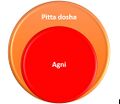 Pitta dosha and Agni.jpg