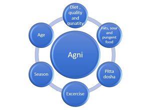 Factors influencing agni.jpg