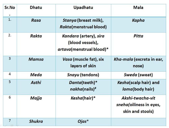image 1:Guna and Karma of Dhatu